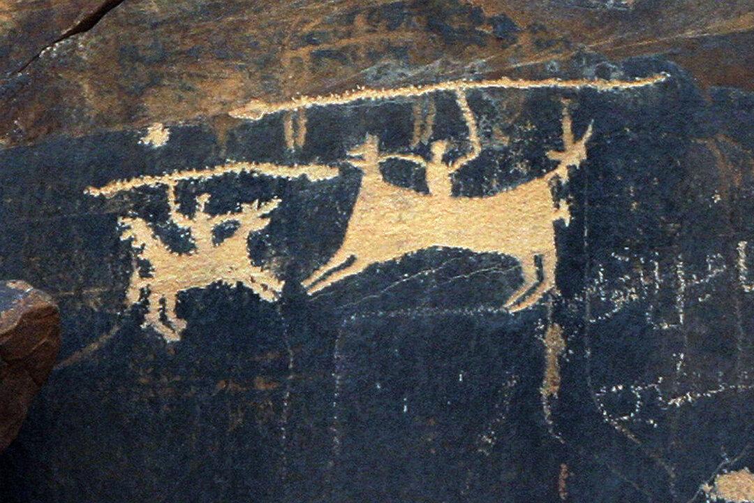 Have Humans Always Gone to War?