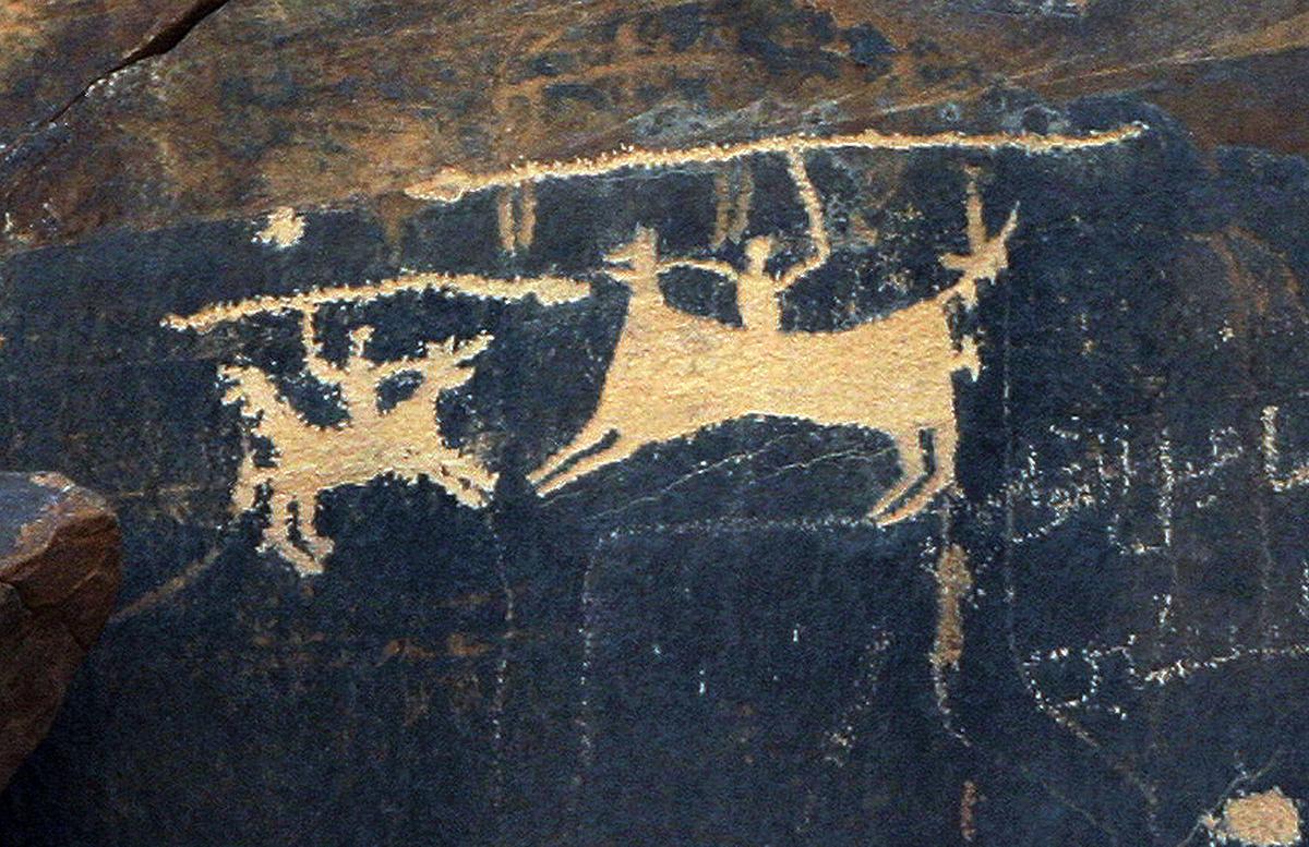 Have Humans Always Gone to War?