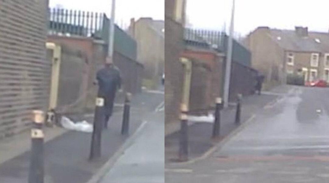 Man Captured Violently Kicking, Stomping Dog on the Street