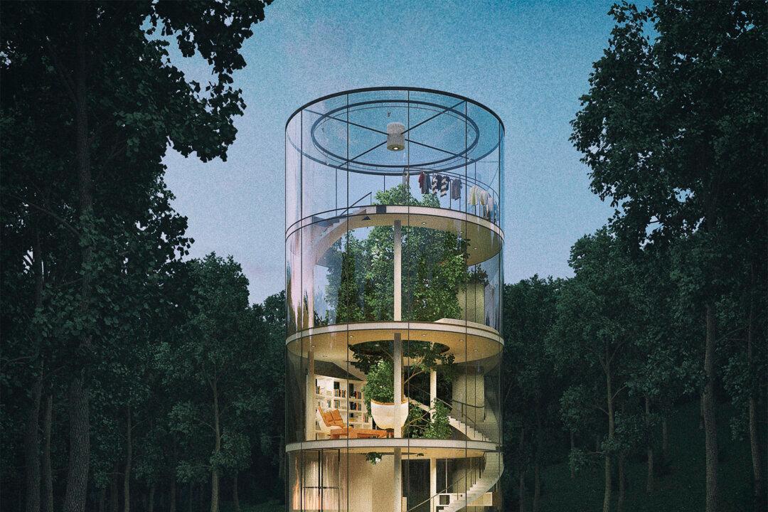House Build Around the Full-Grown Tree Is Getting as Close to Nature as Possible