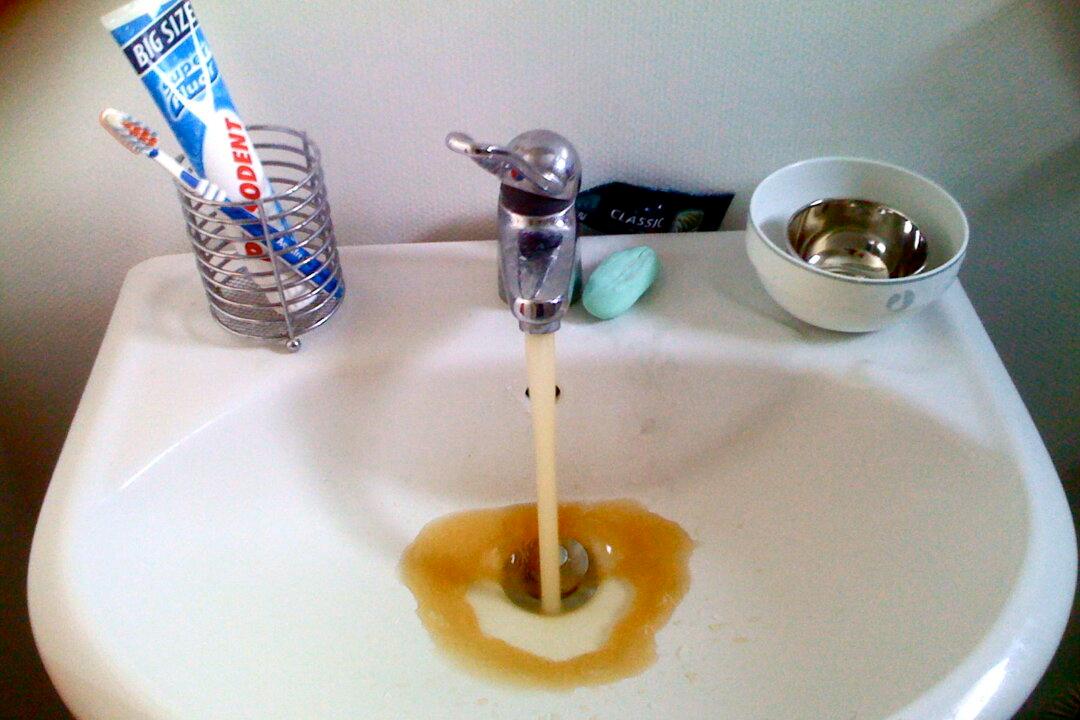 The United States of Flint