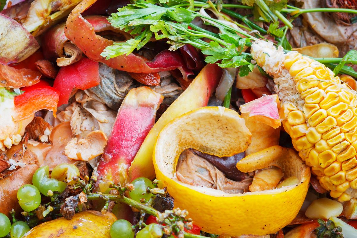 5 Food Scraps We Should Actually Be Putting in Our Meals