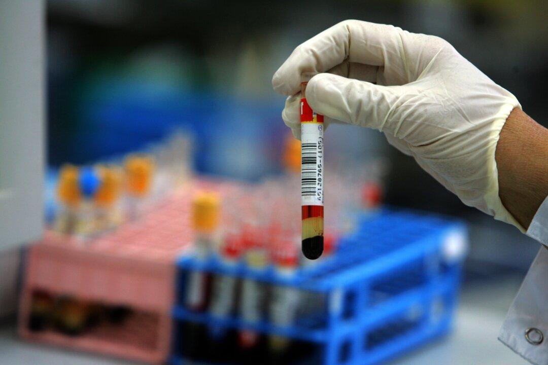 Another Tick Bacteria Turns up in New England Blood Samples