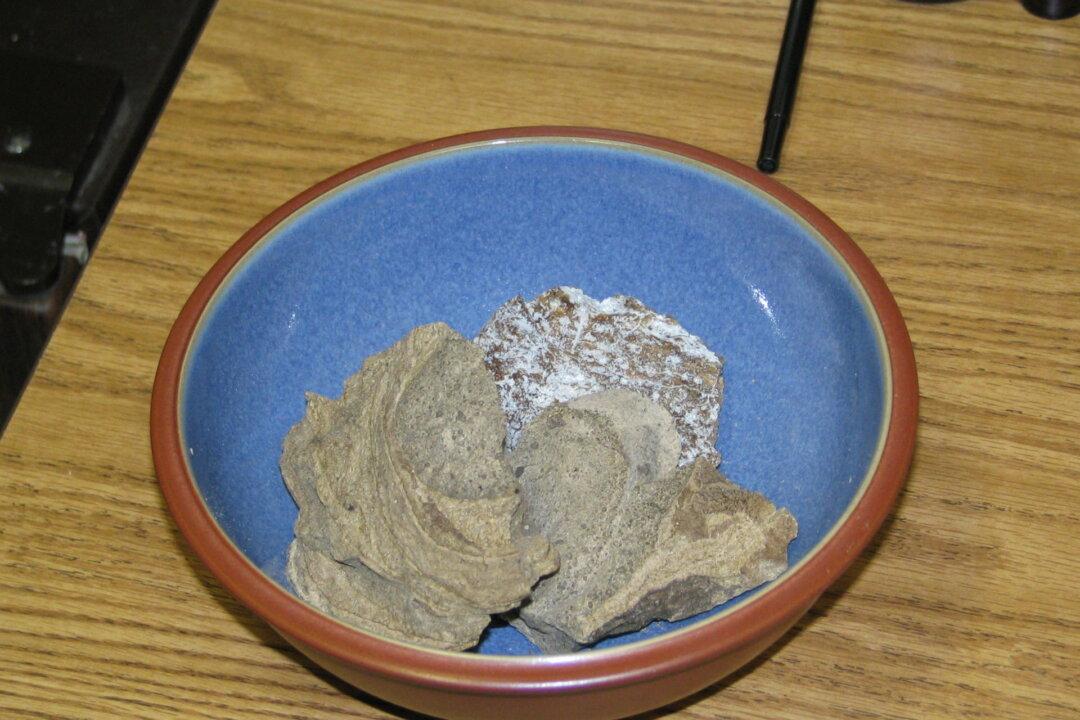 What Is Ambergris, Sometimes Called Sperm Whale Vomit?