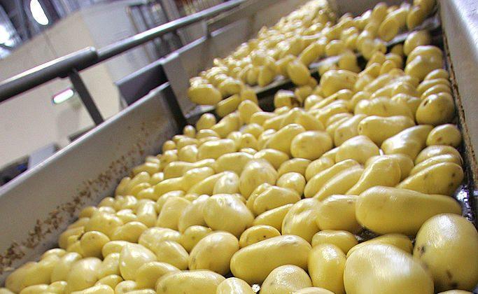 The FDA Is Recalling Some Potatoes, Lemons, Limes, and Oranges Due to Potential Listeria Contamination