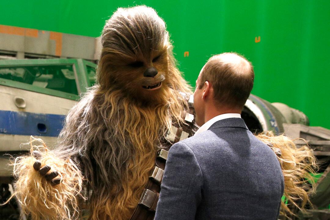 New Species of Weevil Named After Chewbacca From ‘Star Wars’