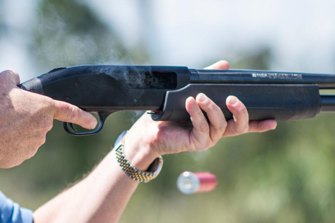 James Bond Meets Samuel Colt: Seeking to Build a Safer Gun