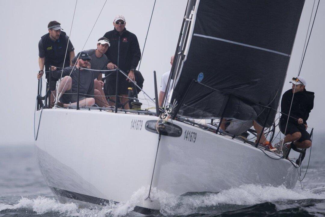 ‘Ambush’ Wins Memorial Vase, While ‘Jezebel’ Takes Top Dog Trophy