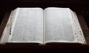 When Language Loses Its Moral Weight