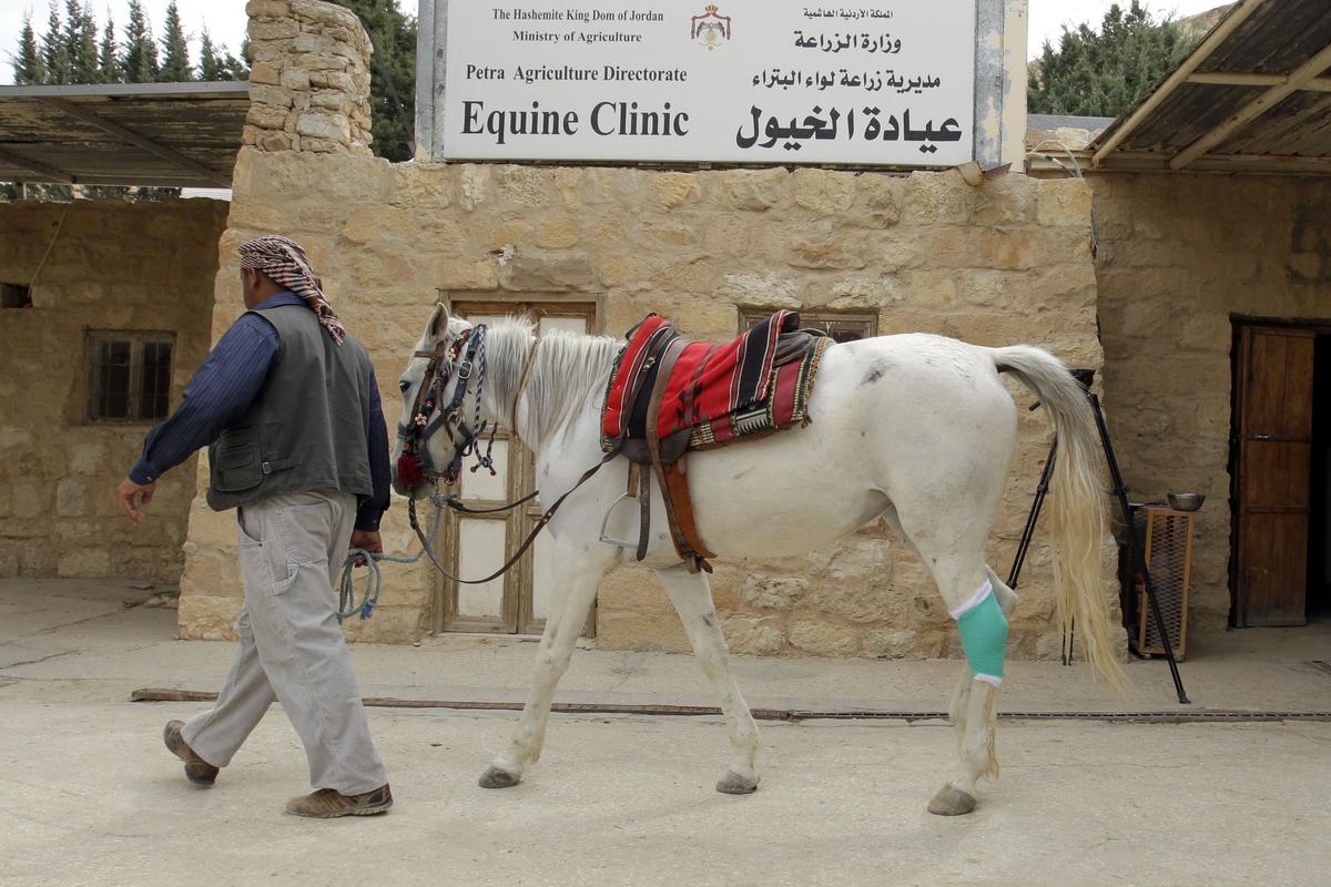 Jordan Boosts Animal Welfare at Famed Petra Tourist Site