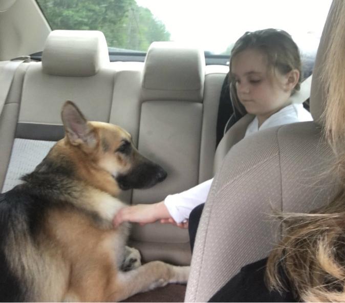 Rescued Dog Saves 7-Year-Old Girl from Deadly Snake