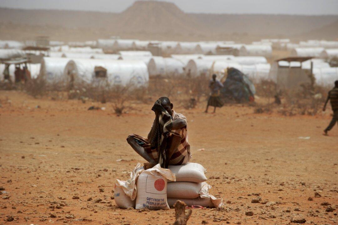 Auditors Find Only a Fraction of Fed Grants for Food Aid Group Went to Critical Nutrition