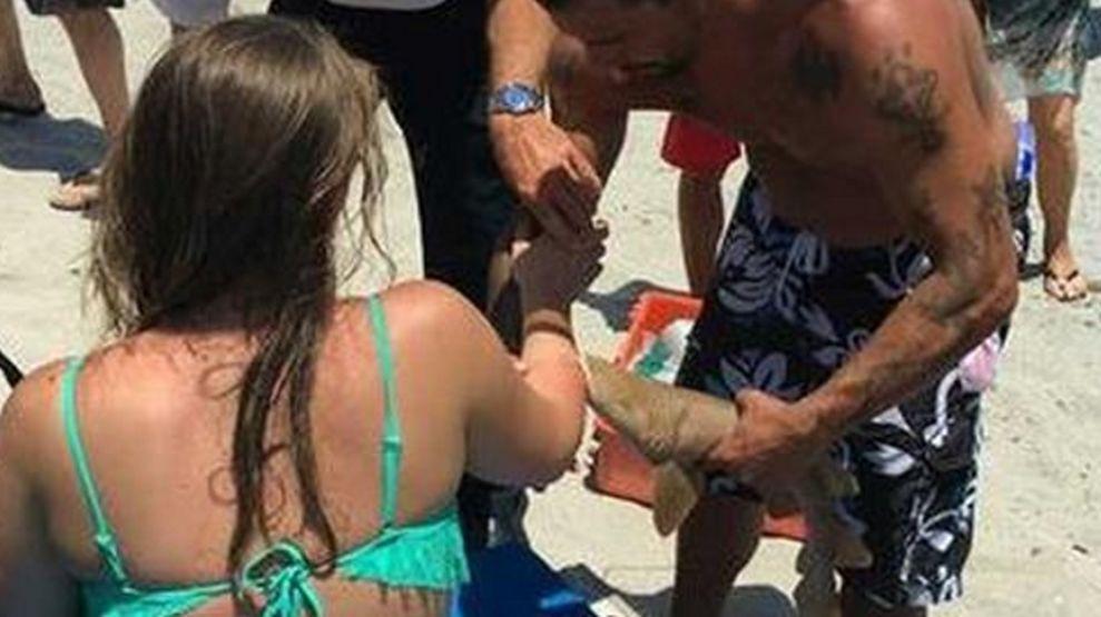 Florida Woman Taken to Hospital With Shark Still Attached to Arm
