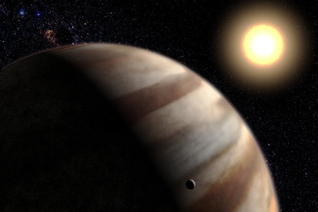 Aging Stars Could Host Earth-Like Planets in Outer Regions