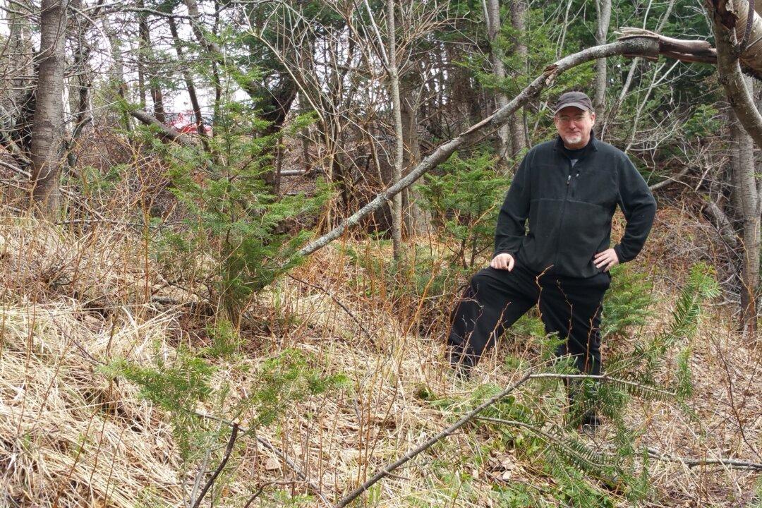 New Lead in the Search for Elusive Norse Settlements