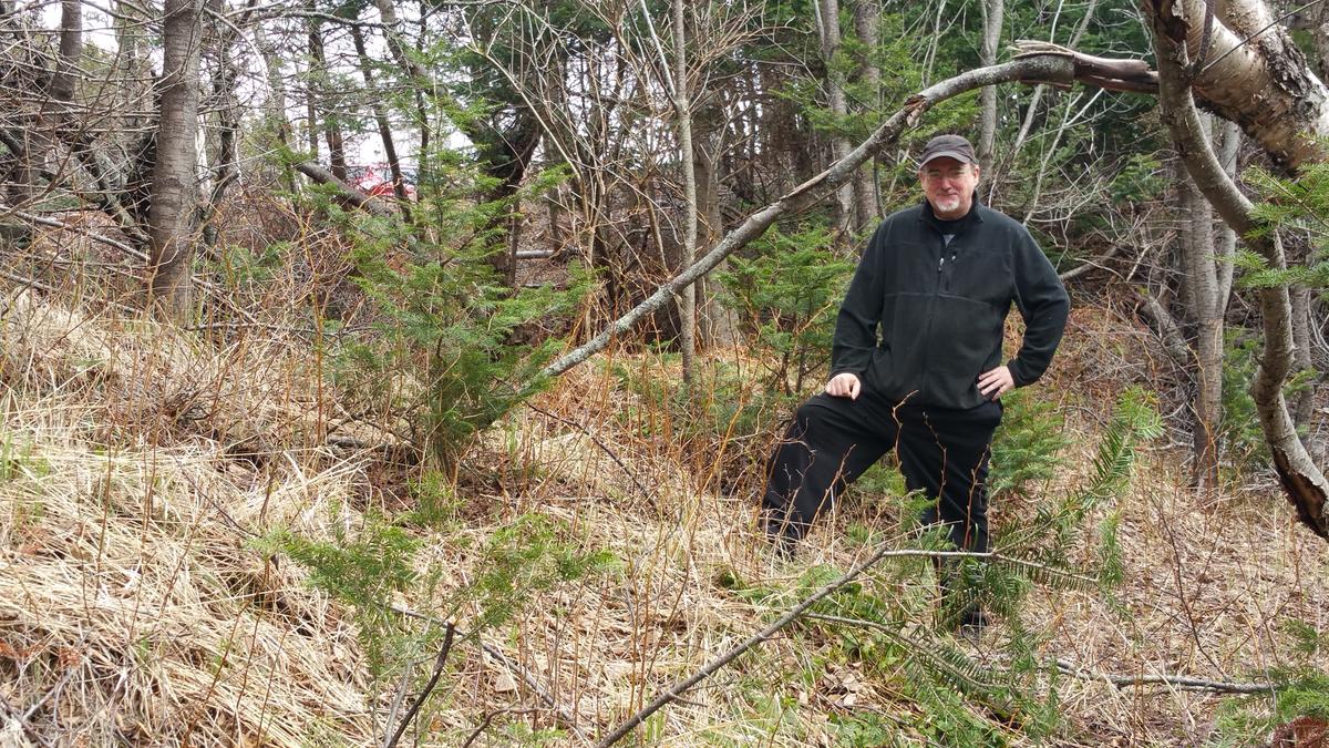 New Lead in the Search for Elusive Norse Settlements