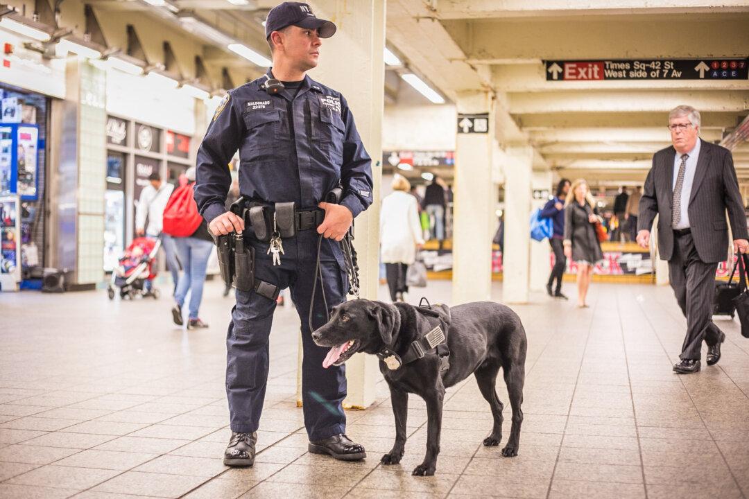 The Elite K-9 Unit That Keeps New York Safe