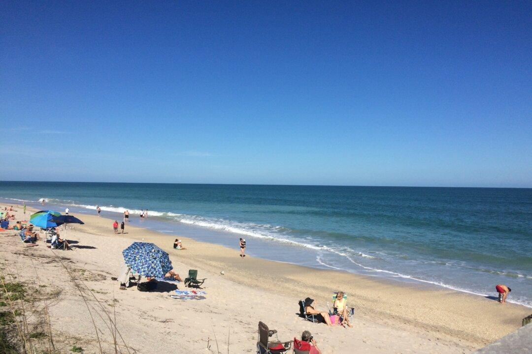 Woman Bitten By Shark at Florida’s Vero Beach