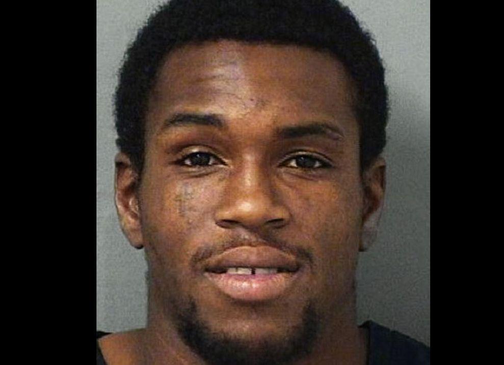 Florida Man Bitten by His Pit Bull After Telling It to Attack Police