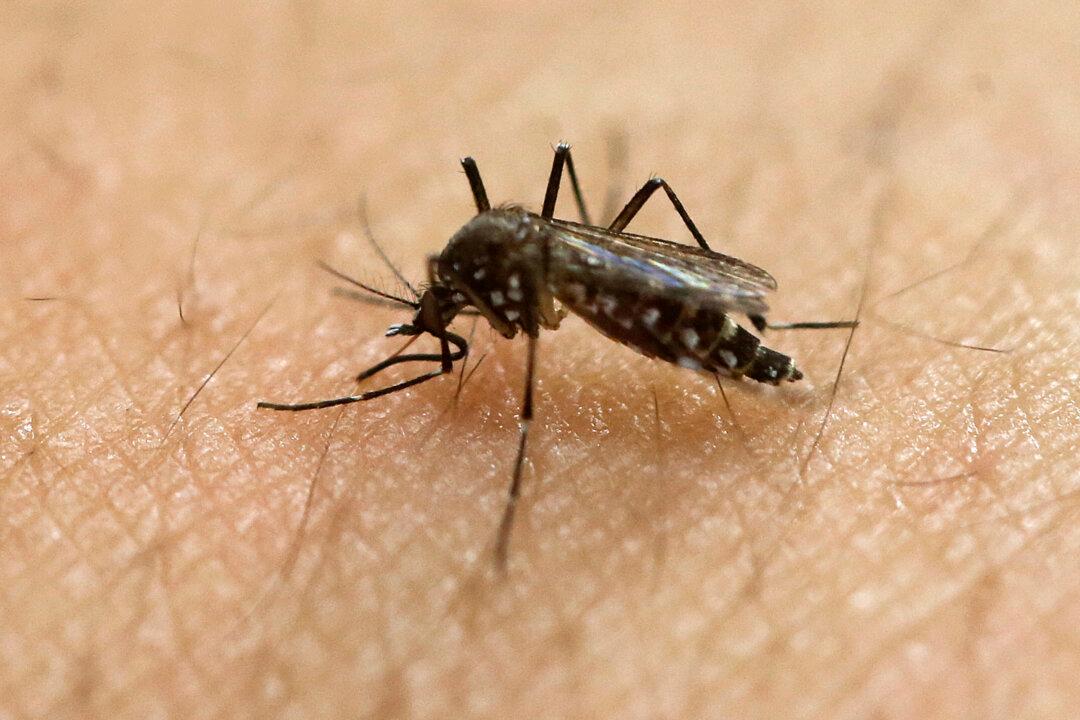 The Olympics Won’t Spread Zika Around the World