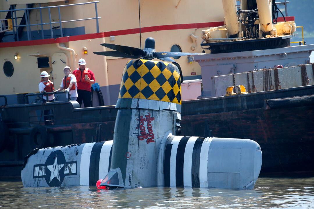 WWII Plane Pulled From Hudson After Crash That Killed Pilot