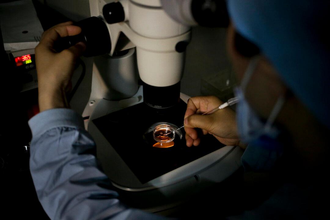 Chinese Student Sells 29 of Her Eggs to Illegal Fertility Agencies to Repay $9,000 Debt