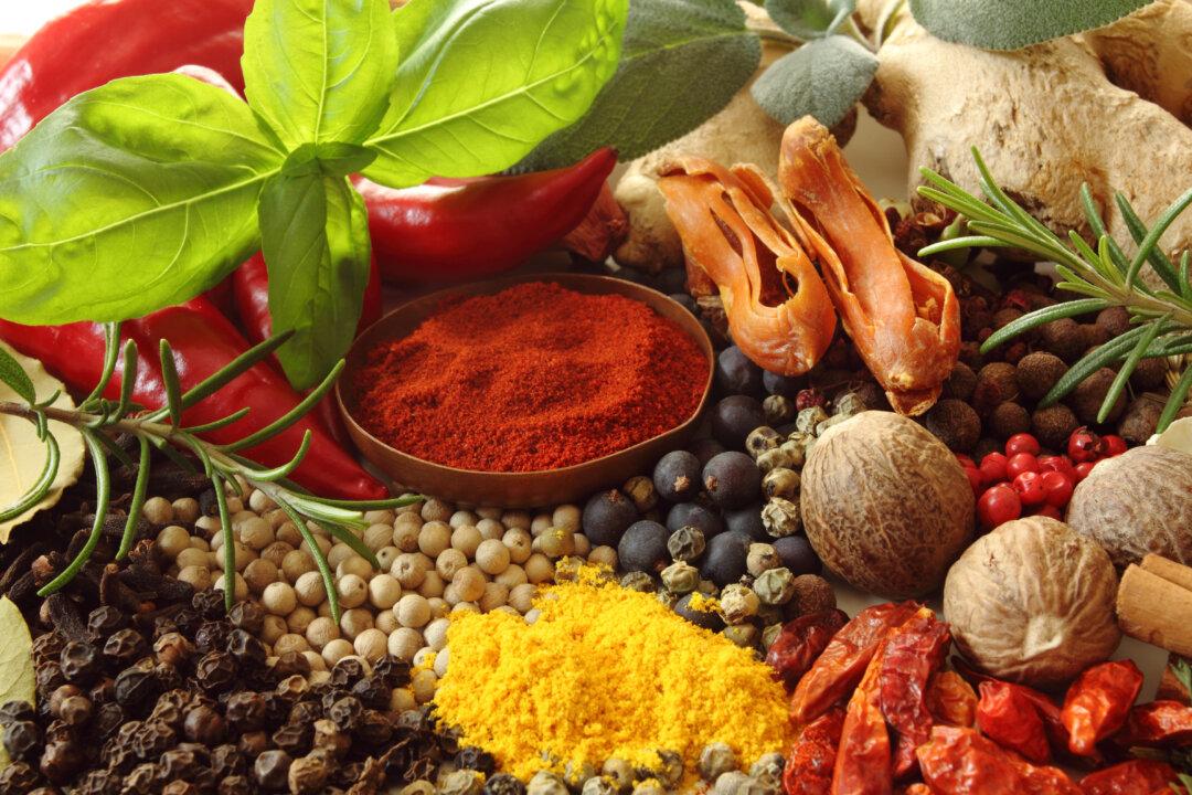 Accessible Herbal Medicine for Beginners