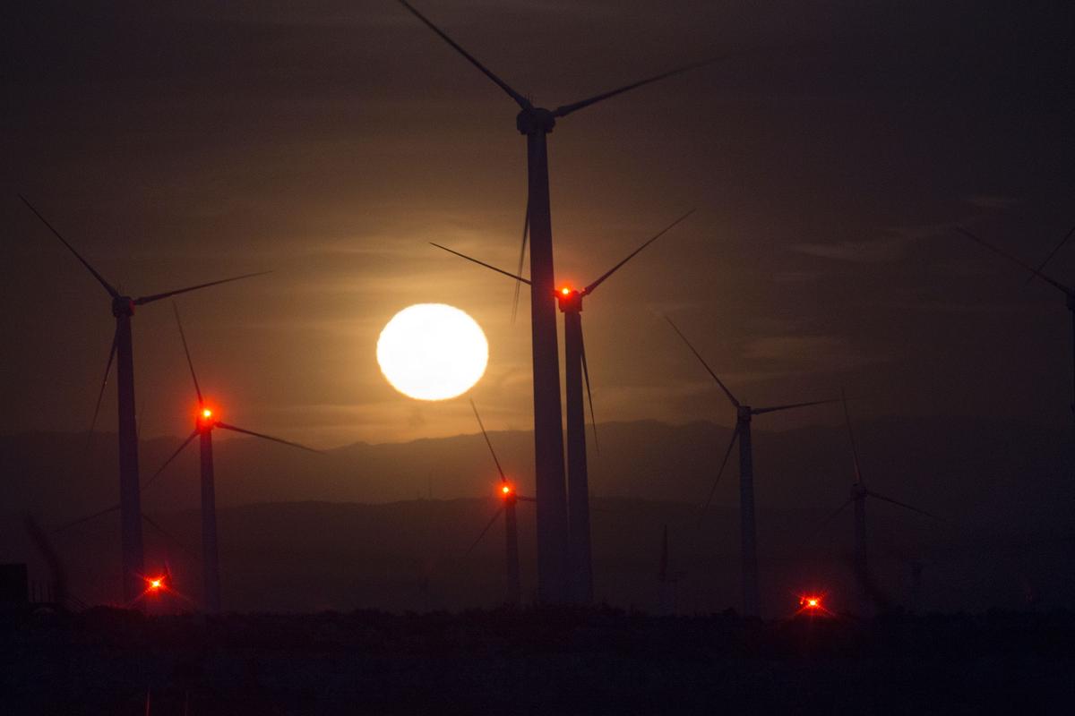 Climate Debate Dominated by ‘Duckspeakers’