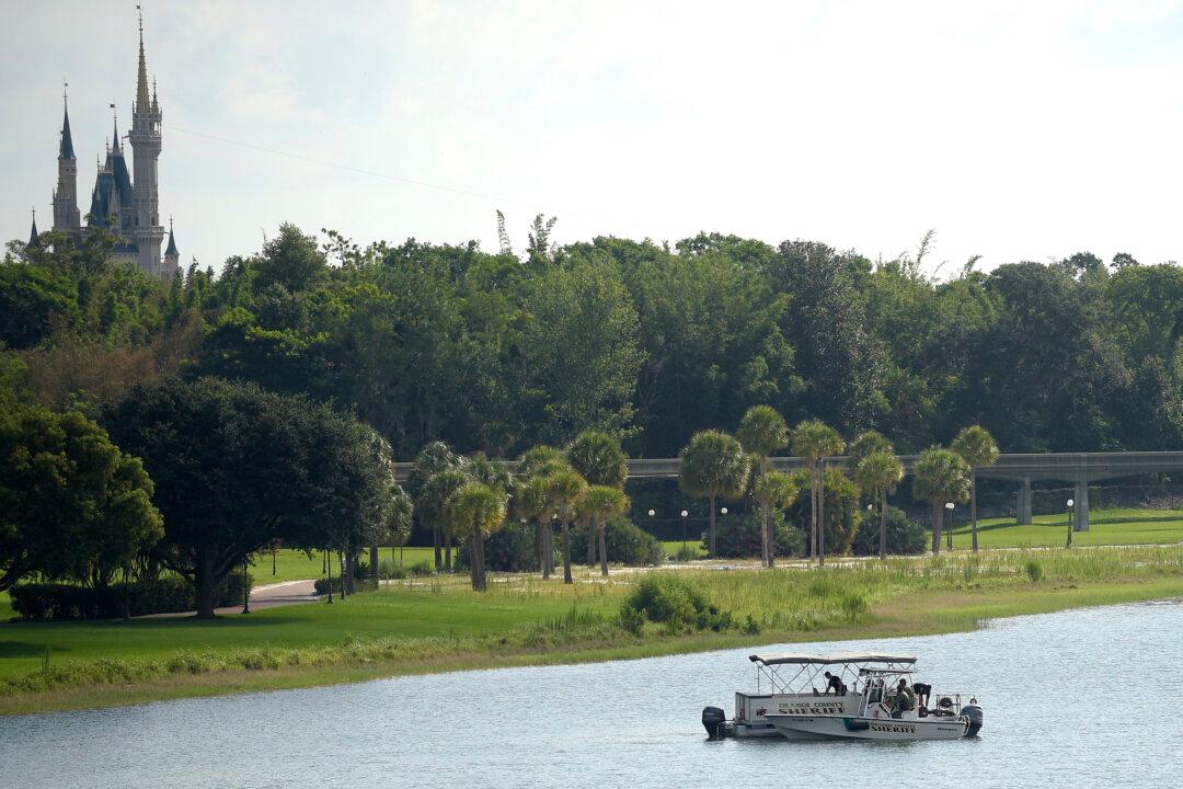 Disney World to Reopen Beaches After Deadly Alligator Attack