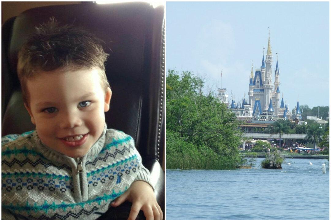 Disney Responds to Death of 2-Year-Old Killed by Alligator at Disney World