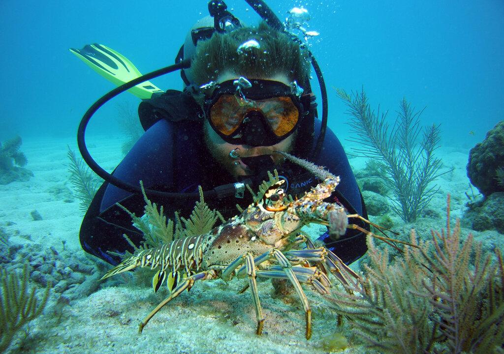 Underwater Beauty at Key Largo