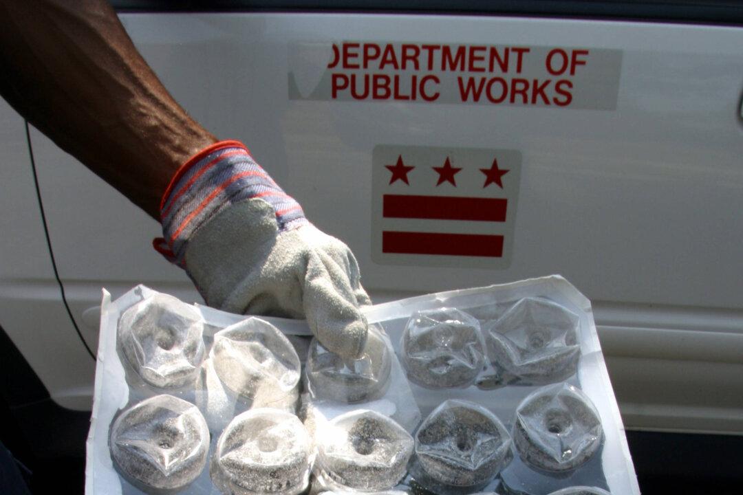 County Offers Free Mosquito Dunks as Part of Zika Action Plan