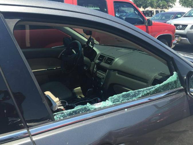 Florida Police Smash Window to Save Tiny Puppy Locked in Hot Car