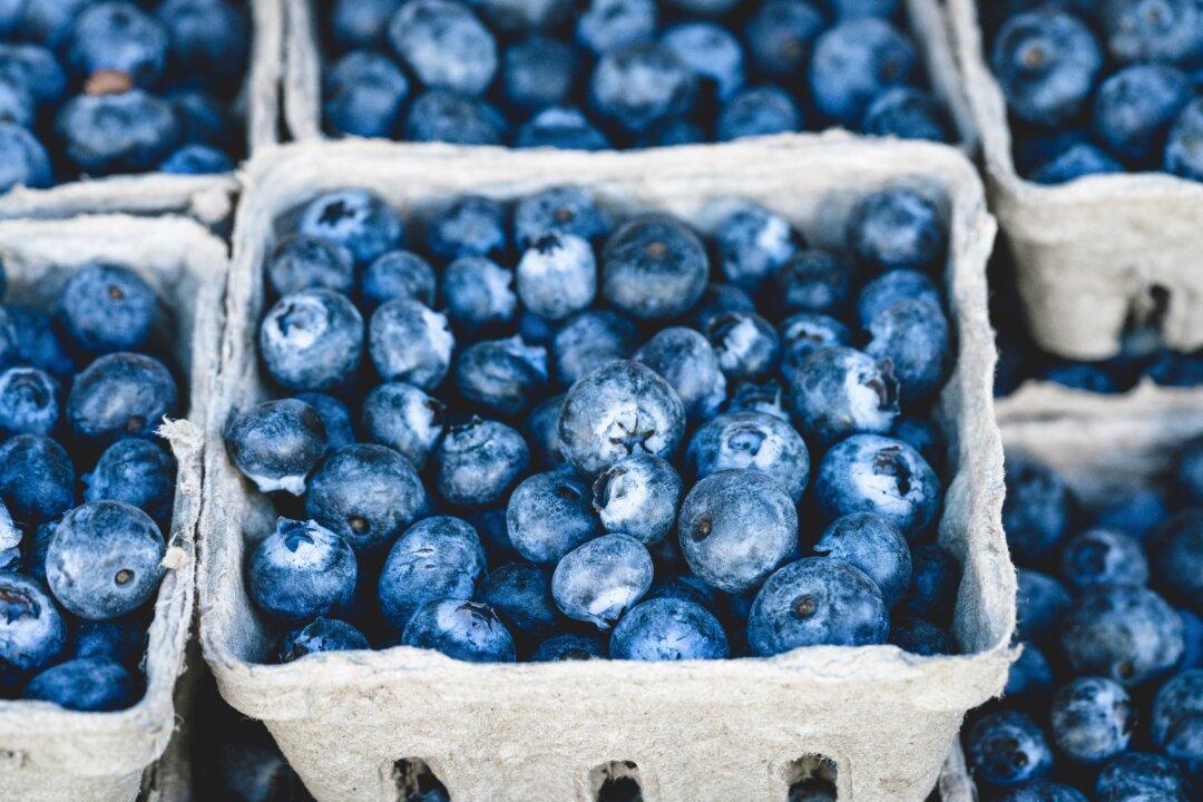 Canadian Blueberries No Threat to U.S. Producers, Embassy Tells Trade Commission