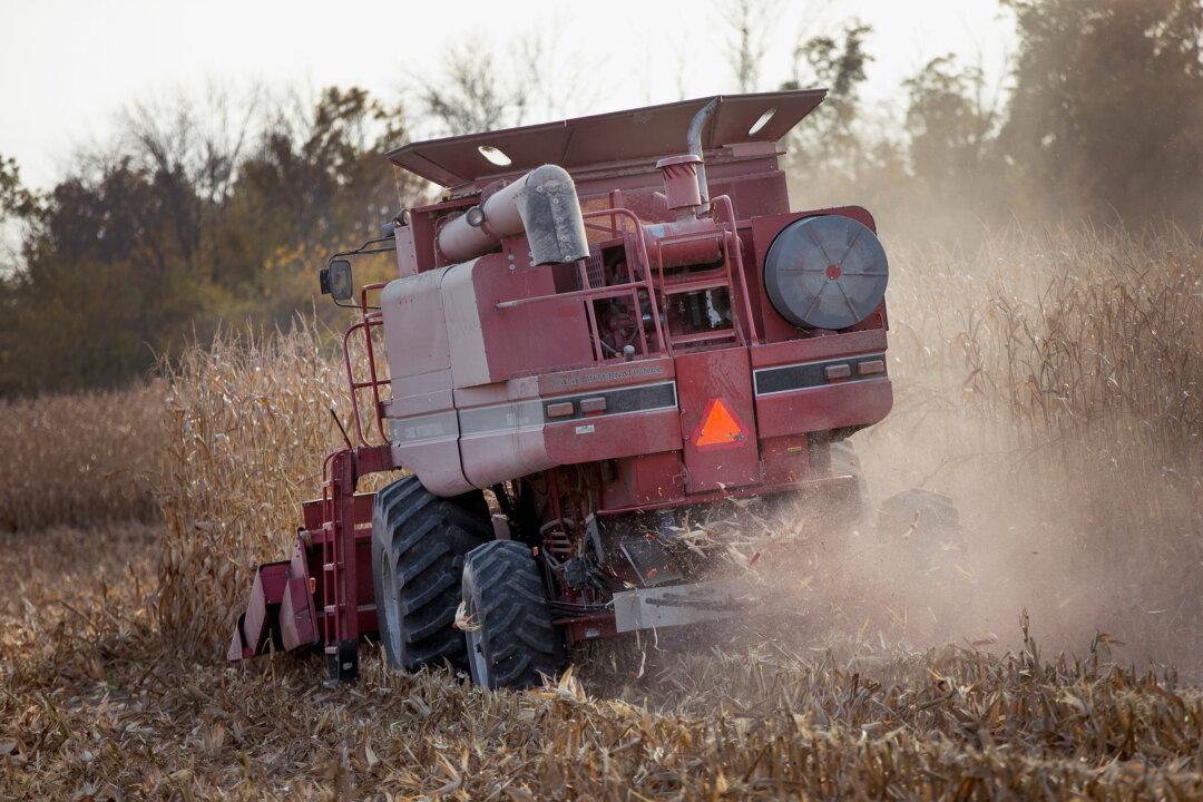 Jobs That Have Highest Suicide Rates Are Male-Oriented, Says CDC Study