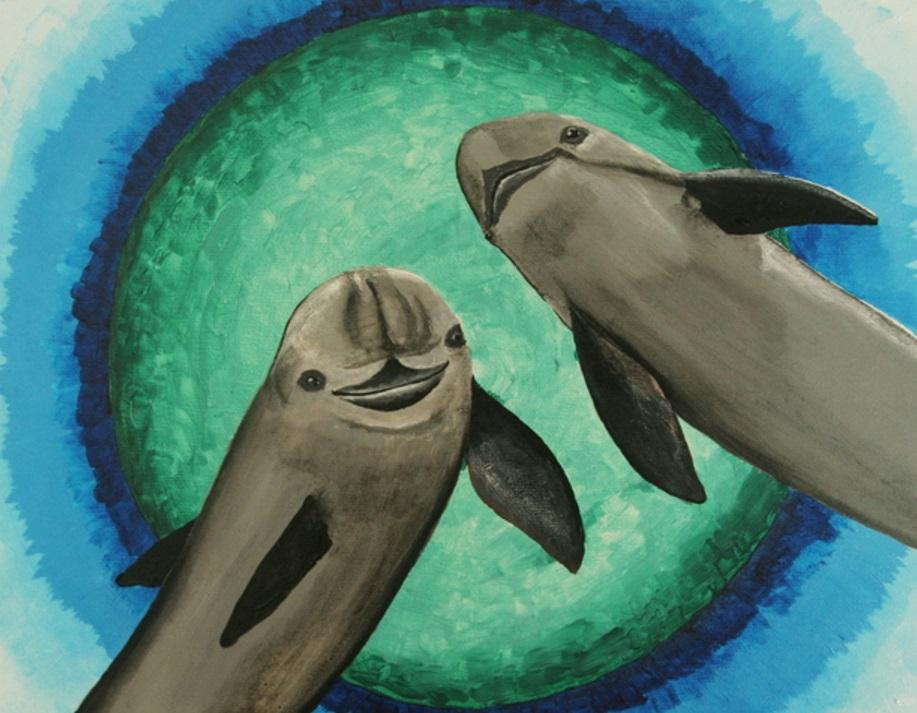 China Wiped Out Dolphin Species, Now a Porpoise Is Under Threat