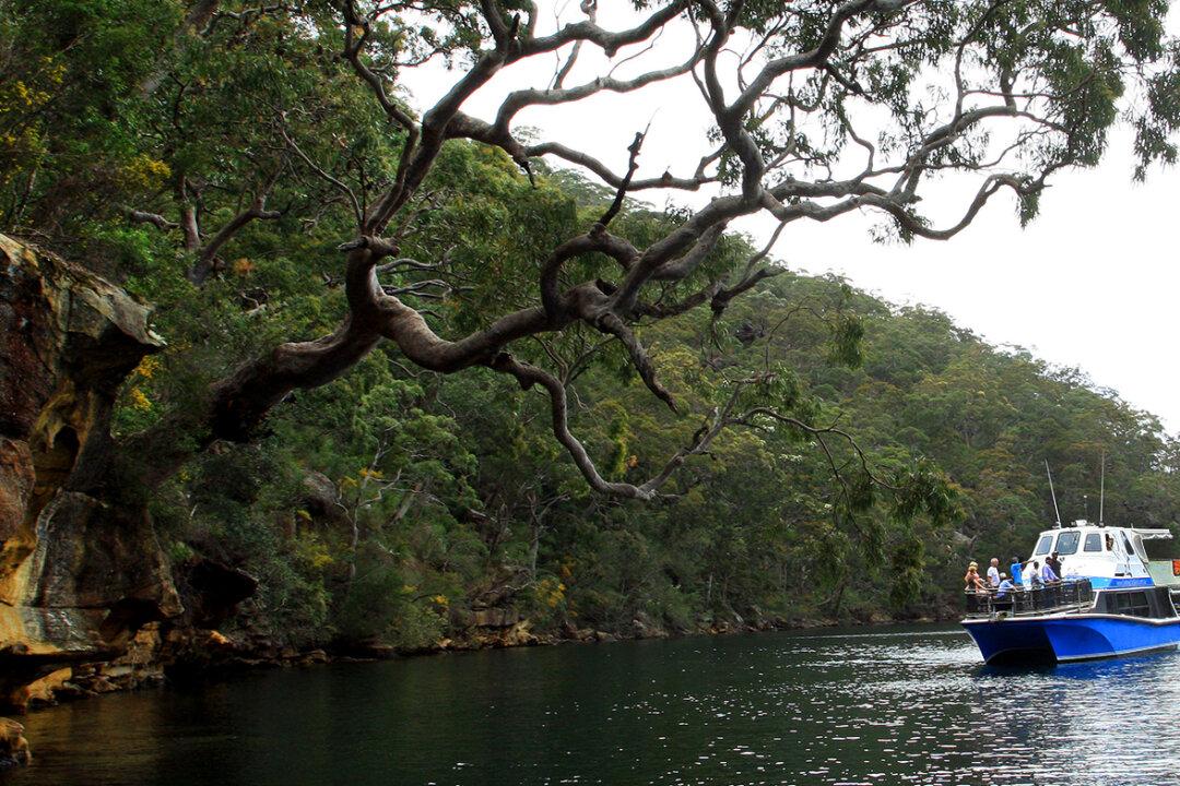 A Day in the Sydney Outback