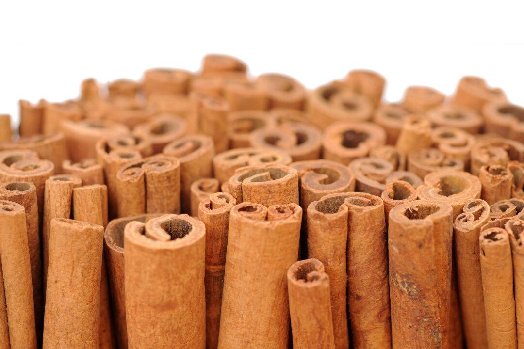 New Study Shows That Cinnamon Can Improve the Ability to Learn