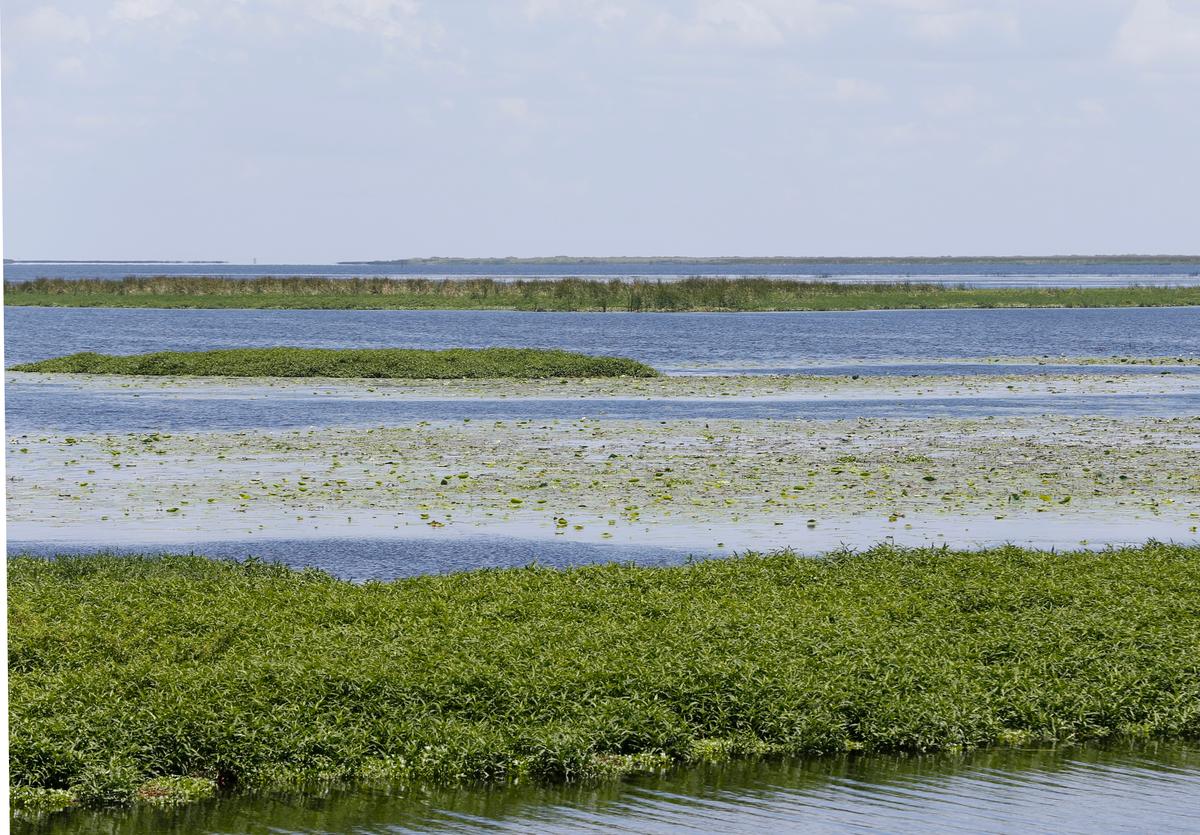 Florida Senate to Vote on Controversial Bill that Would Harm Everglades, but Benefit Farmers