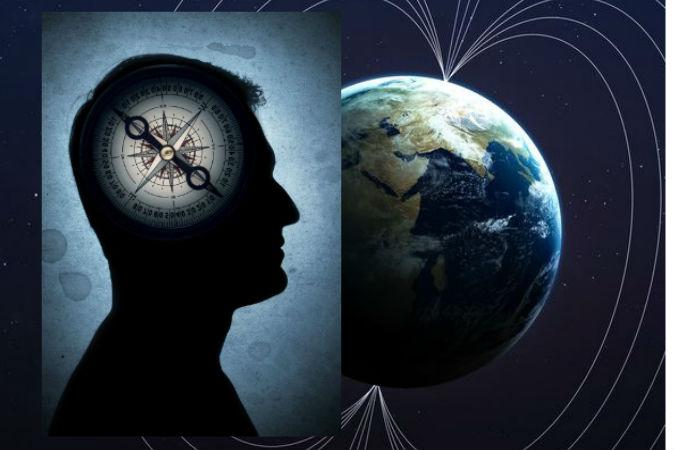 Sixth Sense May Help Us With Direction: Sensing Earth’s Magnetic Fields