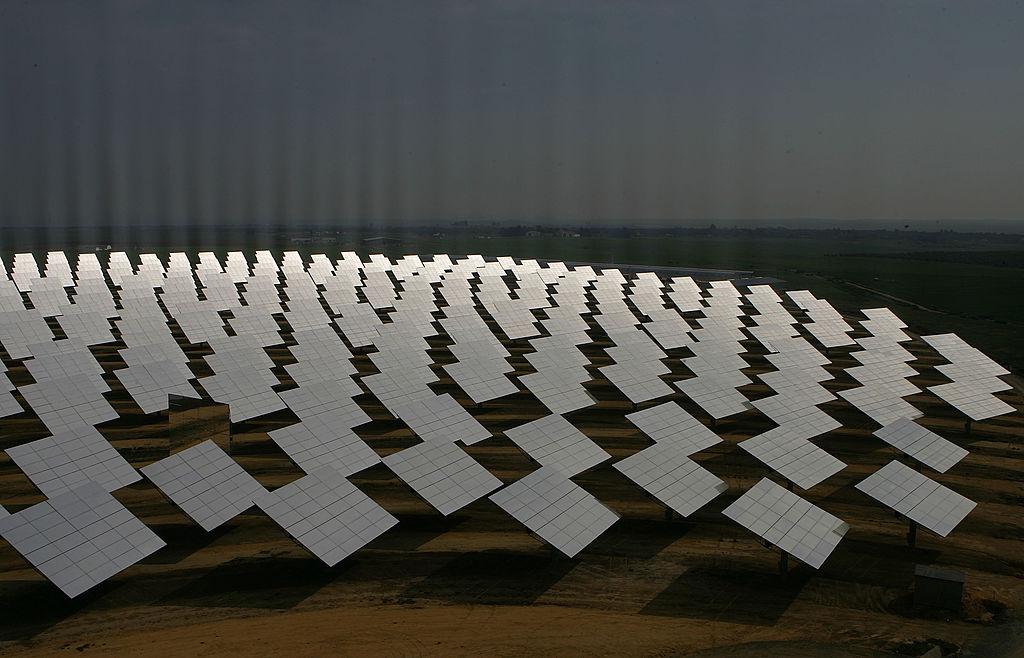 Is Cutting Down Forest to Build Large Solar Farms Worth It?