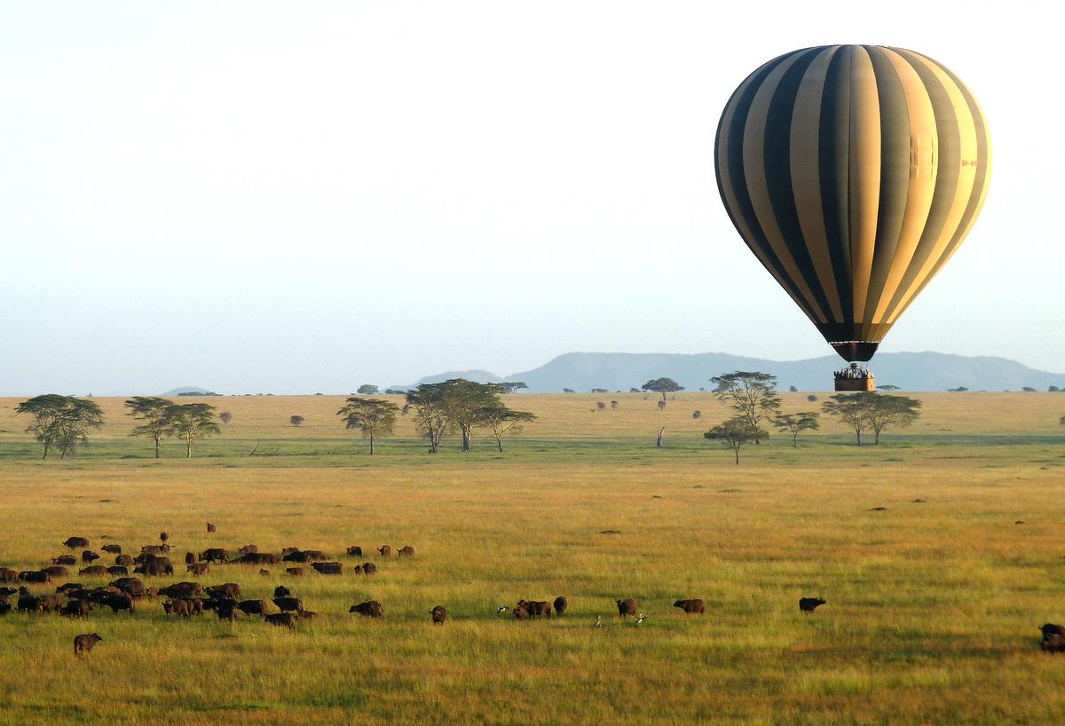 An Unforgettable Tanzanian Safari