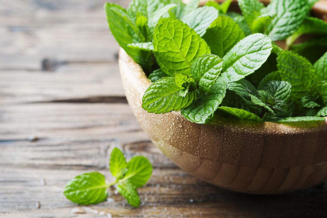 23 Cancer Stem Cell Killing Foods Smarter Than Chemo and Radiation