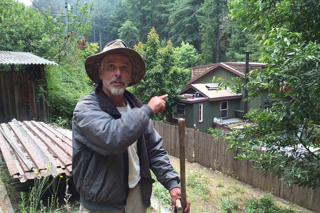 Wildfire Sparks Decline in Tourism Business in Big Sur