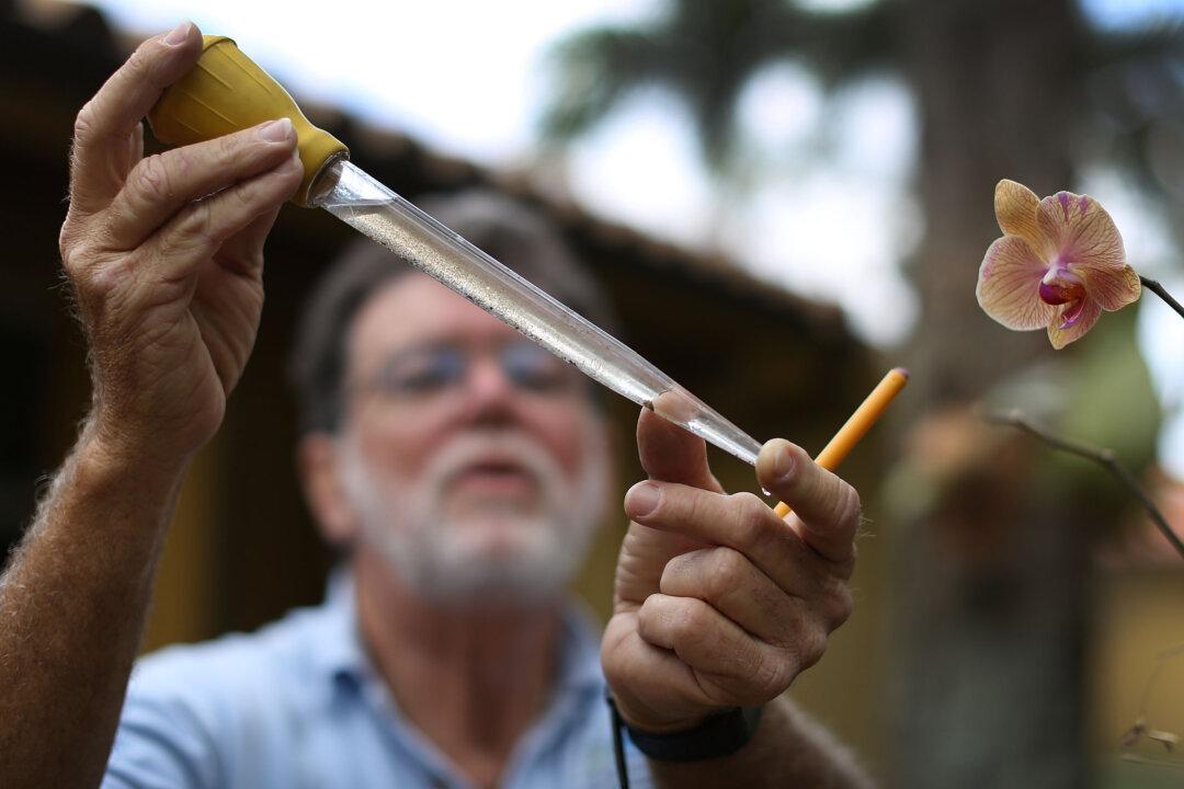 Officials Encourage Travelers Not to Shun Florida for Zika