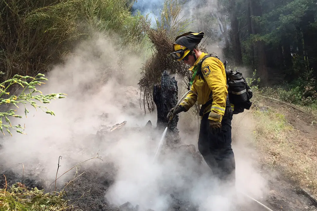 California Timber Fire in Big Sur Nears 5,000 Acres