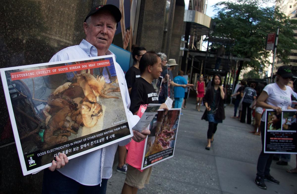 South Korea Shuts Down Largest Dog Meat Slaughterhouse