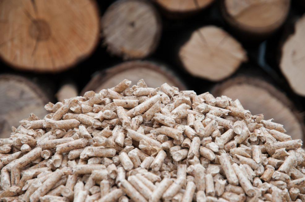 Biomass Subsidies Could Intensify Deforestation