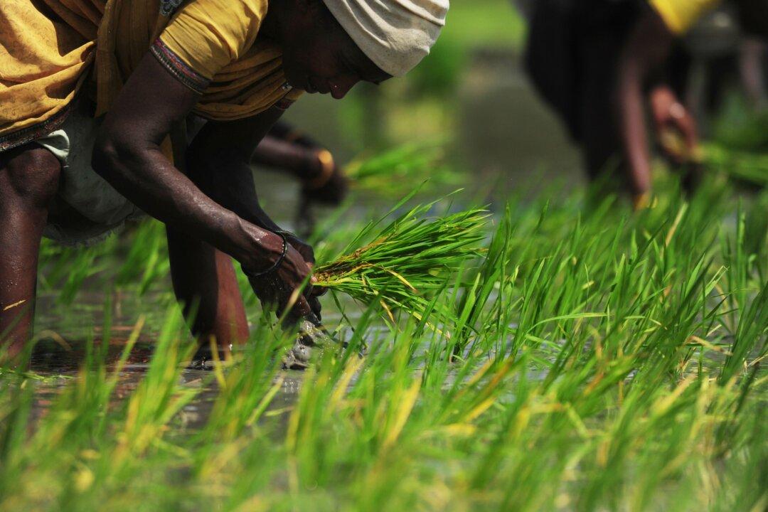 How One Company Used an Enzyme to Turn Food Waste Into a Superfood