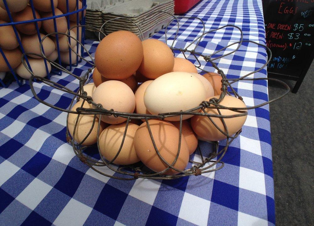 Are Eggs Good or Bad for You? New Research Rekindles Debate